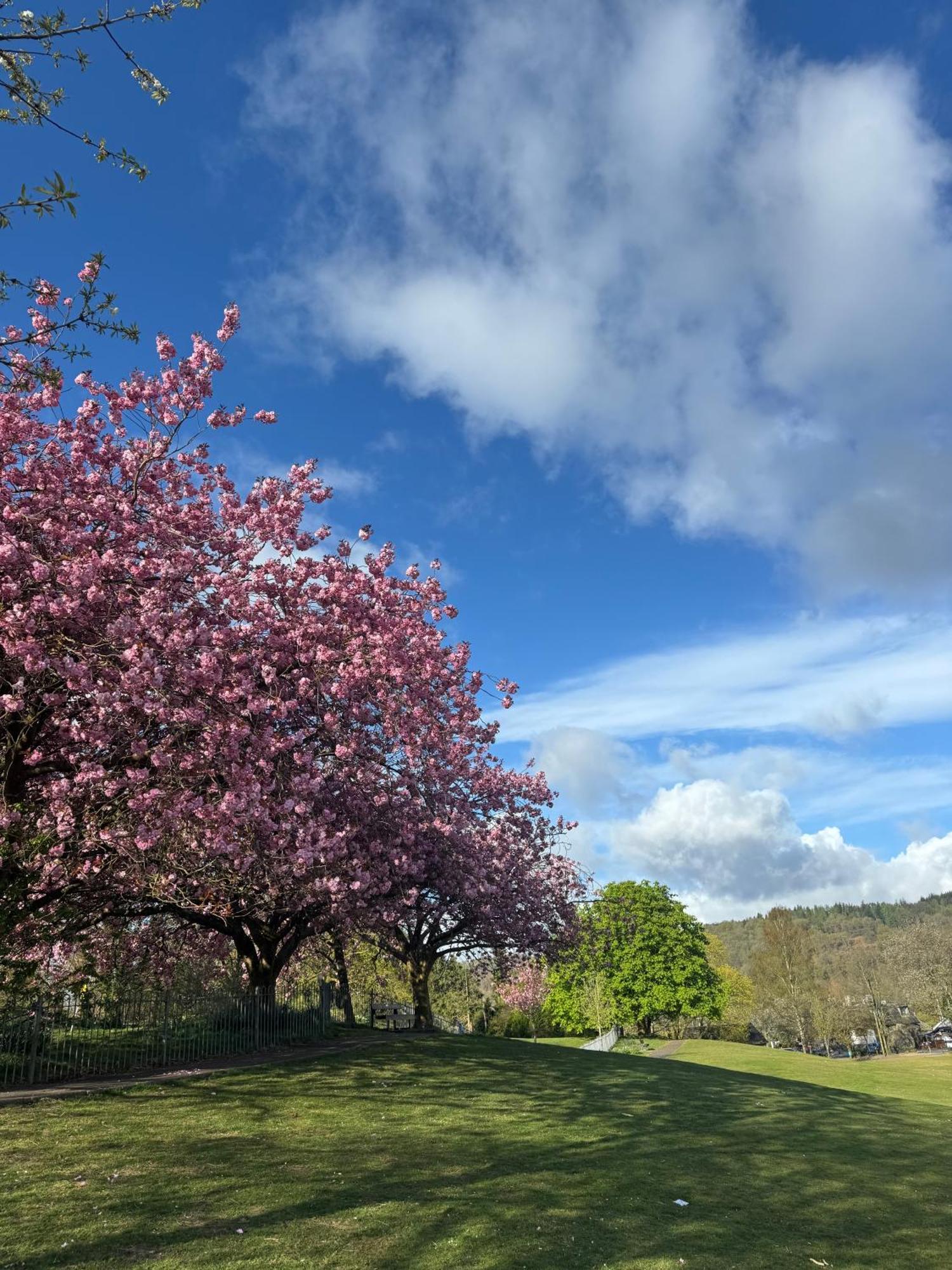 Denecrest Guest House Windermere Bagian luar foto